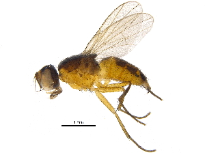  ( - BIOUG22251-H09)  @14 [ ] CreativeCommons - Attribution (2015) CBG Photography Group Centre for Biodiversity Genomics