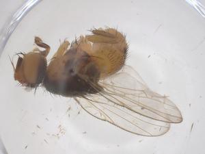  ( - CBG-B03653-C06)  @11 [ ] CreativeCommons - Attribution Share - Alike (2025) Centre for Biodiversity Genomics Centre for Biodiversity Genomics