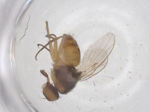  ( - CBG-B03653-D06)  @11 [ ] CreativeCommons - Attribution Share - Alike (2025) Centre for Biodiversity Genomics Centre for Biodiversity Genomics