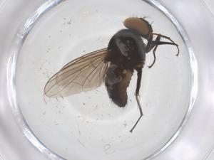  ( - CBG-B03655-E05)  @11 [ ] CreativeCommons - Attribution Share - Alike (2025) Centre for Biodiversity Genomics Centre for Biodiversity Genomics