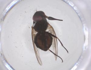  ( - CBG-B03776-G03)  @11 [ ] CreativeCommons - Attribution Share - Alike (2025) Centre for Biodiversity Genomics Centre for Biodiversity Genomics