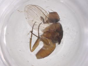  ( - CBG-B03781-A03)  @11 [ ] CreativeCommons - Attribution Share - Alike (2025) Centre for Biodiversity Genomics Centre for Biodiversity Genomics