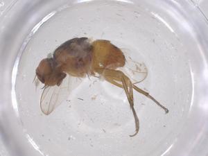  ( - CBG-B03781-F04)  @11 [ ] CreativeCommons - Attribution Share - Alike (2025) Centre for Biodiversity Genomics Centre for Biodiversity Genomics