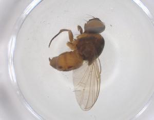  ( - CBG-B03840-E02)  @11 [ ] CreativeCommons - Attribution Share - Alike (2025) Centre for Biodiversity Genomics Centre for Biodiversity Genomics