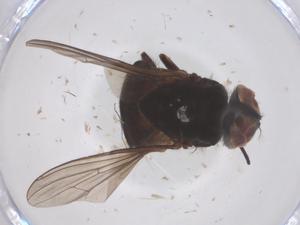  ( - CBG-B07924-F05)  @11 [ ] CreativeCommons - Attribution Share - Alike (2025) Centre for Biodiversity Genomics Centre for Biodiversity Genomics