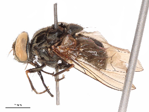  ( - CBG-B07958-F12)  @11 [ ] CreativeCommons - Attribution Share - Alike (2025) CBG Photography Group Centre for Biodiversity Genomics