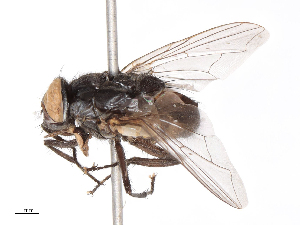  ( - CBG-B07960-A02)  @11 [ ] CreativeCommons - Attribution Share - Alike (2025) CBG Photography Group Centre for Biodiversity Genomics