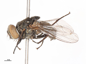  ( - CBG-B07960-A10)  @11 [ ] CreativeCommons - Attribution Share - Alike (2025) CBG Photography Group Centre for Biodiversity Genomics