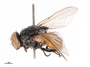  ( - CBG-B07960-D04)  @11 [ ] CreativeCommons - Attribution Share - Alike (2025) CBG Photography Group Centre for Biodiversity Genomics