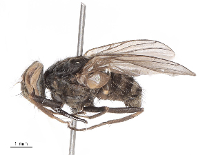  ( - CBG-B07960-F01)  @11 [ ] CreativeCommons - Attribution Share - Alike (2025) CBG Photography Group Centre for Biodiversity Genomics