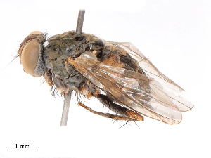  ( - CBG-B07960-F10)  @11 [ ] CreativeCommons - Attribution Share - Alike (2025) CBG Photography Group Centre for Biodiversity Genomics