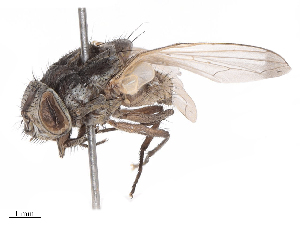  ( - CBG-B07960-G04)  @11 [ ] CreativeCommons - Attribution Share - Alike (2025) CBG Photography Group Centre for Biodiversity Genomics