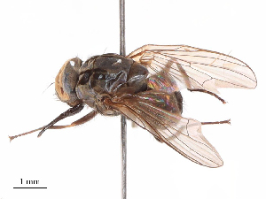  ( - CBG-B07961-B06)  @11 [ ] CreativeCommons - Attribution Share - Alike (2025) CBG Photography Group Centre for Biodiversity Genomics