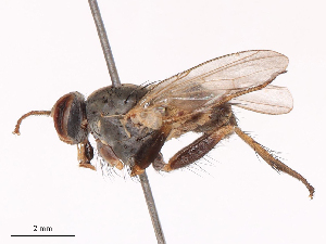  ( - CBG-B08459-A12)  @11 [ ] CreativeCommons - Attribution Share - Alike (2025) CBG Photography Group Centre for Biodiversity Genomics