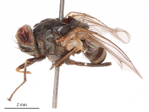  ( - CBG-B08459-E02)  @11 [ ] CreativeCommons - Attribution Share - Alike (2025) CBG Photography Group Centre for Biodiversity Genomics