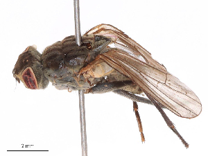  ( - CBG-B08459-E04)  @11 [ ] CreativeCommons - Attribution Share - Alike (2025) CBG Photography Group Centre for Biodiversity Genomics