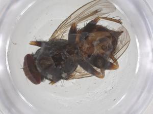  ( - CBG-B08470-B08)  @11 [ ] CreativeCommons - Attribution Share - Alike (2025) Centre for Biodiversity Genomics Centre for Biodiversity Genomics