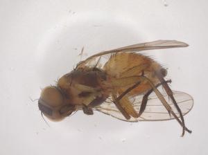  ( - CBG-B08607-E02)  @11 [ ] CreativeCommons - Attribution Share - Alike (2025) Centre for Biodiversity Genomics Centre for Biodiversity Genomics