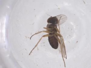  ( - CBG-B09956-E11)  @11 [ ] CreativeCommons - Attribution Share - Alike (2025) Centre for Biodiversity Genomics Centre for Biodiversity Genomics