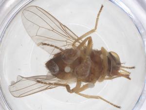  ( - CBG-B09964-H06)  @11 [ ] CreativeCommons - Attribution Share - Alike (2025) Centre for Biodiversity Genomics Centre for Biodiversity Genomics