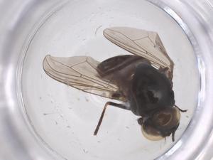  ( - CBG-B09965-H02)  @11 [ ] CreativeCommons - Attribution Share - Alike (2025) Centre for Biodiversity Genomics Centre for Biodiversity Genomics