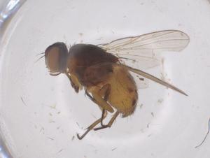  ( - CBG-B10007-E07)  @11 [ ] CreativeCommons - Attribution Share - Alike (2025) Centre for Biodiversity Genomics Centre for Biodiversity Genomics