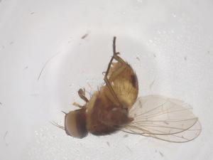  ( - CBG-B10008-C10)  @11 [ ] CreativeCommons - Attribution Share - Alike (2025) Centre for Biodiversity Genomics Centre for Biodiversity Genomics