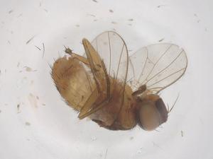  ( - CBG-B10008-D06)  @11 [ ] CreativeCommons - Attribution Share - Alike (2025) Centre for Biodiversity Genomics Centre for Biodiversity Genomics