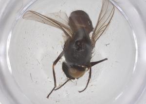  ( - CBG-B10008-E10)  @11 [ ] CreativeCommons - Attribution Share - Alike (2025) Centre for Biodiversity Genomics Centre for Biodiversity Genomics