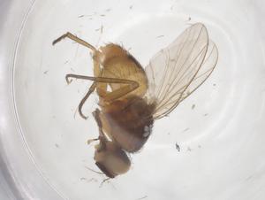  ( - CBG-B10008-H03)  @11 [ ] CreativeCommons - Attribution Share - Alike (2025) Centre for Biodiversity Genomics Centre for Biodiversity Genomics