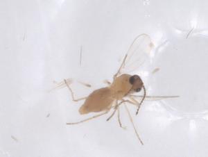  ( - CBG-B10026-E04)  @11 [ ] CreativeCommons - Attribution Share - Alike (2025) Centre for Biodiversity Genomics Centre for Biodiversity Genomics