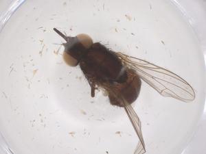  ( - CBG-B10154-F03)  @11 [ ] CreativeCommons - Attribution Share - Alike (2025) Centre for Biodiversity Genomics Centre for Biodiversity Genomics