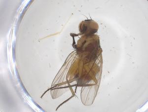  ( - CBG-B11147-E02)  @11 [ ] CreativeCommons - Attribution Share - Alike (2025) Centre for Biodiversity Genomics Centre for Biodiversity Genomics