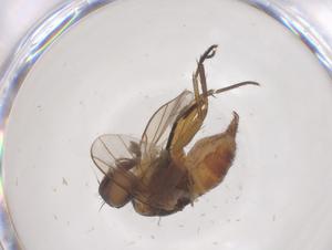  ( - CBG-B11191-C11)  @11 [ ] CreativeCommons - Attribution Share - Alike (2025) Centre for Biodiversity Genomics Centre for Biodiversity Genomics