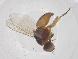  ( - CBG-B17858-G10)  @11 [ ] CreativeCommons - Attribution Share - Alike (2025) Centre for Biodiversity Genomics Centre for Biodiversity Genomics