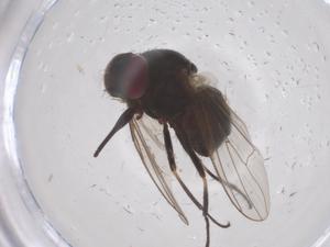  ( - CBG-B18028-C04)  @11 [ ] CreativeCommons - Attribution Share - Alike (2025) Centre for Biodiversity Genomics Centre for Biodiversity Genomics