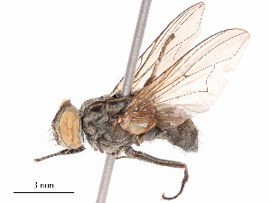  ( - CBG-B19505-C06)  @11 [ ] CreativeCommons - Attribution Share - Alike (2025) CBG Photography Group Centre for Biodiversity Genomics