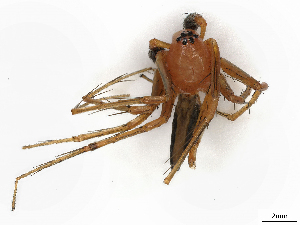  ( - CBG-A21621-H10)  @11 [ ] CreativeCommons - Attribution (2023) CBG Photography Group Centre for Biodiversity Genomics