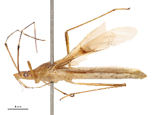  ( - CBG-B03409-D06)  @11 [ ] CreativeCommons - Attribution Share - Alike (2025) CBG Photography Group Centre for Biodiversity Genomics