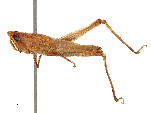  ( - CBG-B03409-F07)  @11 [ ] CreativeCommons - Attribution Share - Alike (2025) CBG Photography Group Centre for Biodiversity Genomics