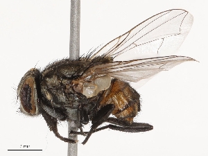  ( - CBG-B03414-B01)  @11 [ ] CreativeCommons - Attribution Share - Alike (2025) CBG Photography Group Centre for Biodiversity Genomics