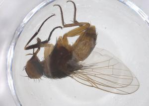  ( - CBG-B04174-D04)  @11 [ ] CreativeCommons - Attribution Share - Alike (2025) Centre for Biodiversity Genomics Centre for Biodiversity Genomics