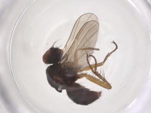  ( - CBG-B04175-H02)  @11 [ ] CreativeCommons - Attribution Share - Alike (2025) Centre for Biodiversity Genomics Centre for Biodiversity Genomics