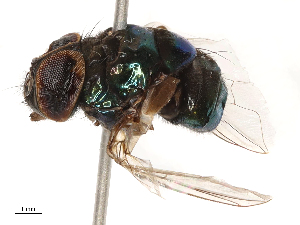  ( - CBG-B04359-D09)  @11 [ ] CreativeCommons - Attribution Share - Alike (2025) CBG Photography Group Centre for Biodiversity Genomics