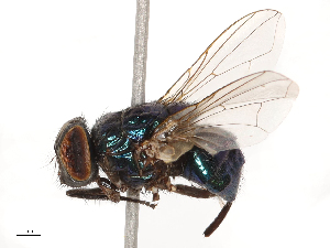  ( - CBG-B04359-E02)  @11 [ ] CreativeCommons - Attribution Share - Alike (2025) CBG Photography Group Centre for Biodiversity Genomics