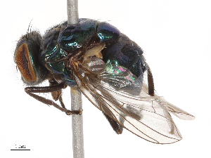  ( - CBG-B04359-E03)  @11 [ ] CreativeCommons - Attribution Share - Alike (2025) CBG Photography Group Centre for Biodiversity Genomics