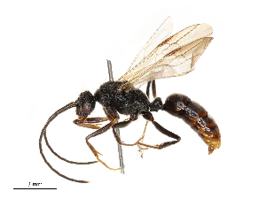  ( - CBG-B04359-E09)  @11 [ ] CreativeCommons - Attribution Share - Alike (2025) CBG Photography Group Centre for Biodiversity Genomics