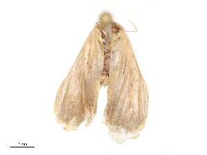  ( - CBG-B04359-F07)  @11 [ ] CreativeCommons - Attribution Share - Alike (2025) CBG Photography Group Centre for Biodiversity Genomics