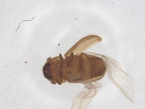  ( - CBG-B04664-F10)  @11 [ ] CreativeCommons - Attribution Share - Alike (2025) Centre for Biodiversity Genomics Centre for Biodiversity Genomics