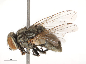  ( - CBG-B04794-C09)  @11 [ ] CreativeCommons - Attribution Share - Alike (2025) CBG Photography Group Centre for Biodiversity Genomics